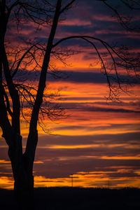 Silhouette bare tree against dramatic sky during sunset