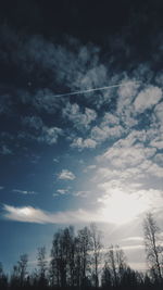 Low angle view of trees against cloudy sky