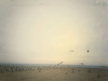 Scenic view of sea at sunset