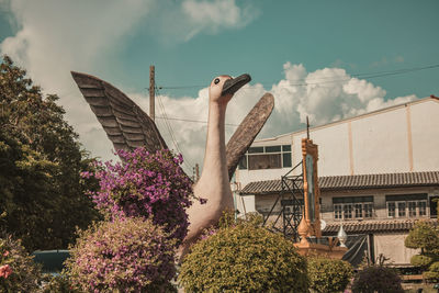 Low angle view of flowering plants against building