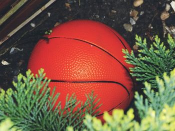 Close-up of red ball