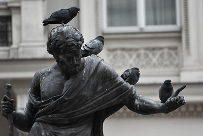 Pigeons on sculpture