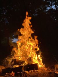 Bonfire on log at night