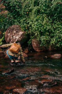 Rear view of man sitting on rock