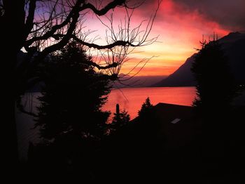 Silhouette trees by lake against sky during sunset