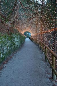 Footpath amidst trees in park during autumn