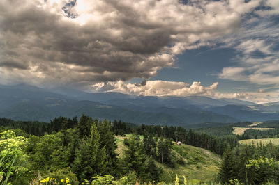 Scenic view of landscape against sky