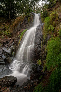 Scenic view of waterfall in forest