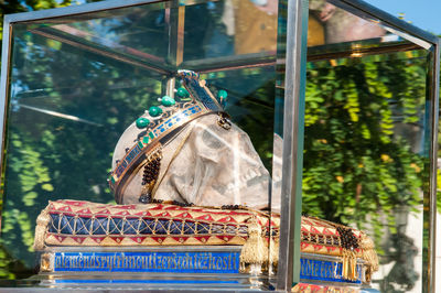 Close-up of an animal hanging on tree
