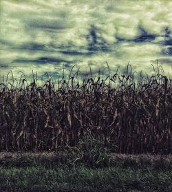 View of field against cloudy sky