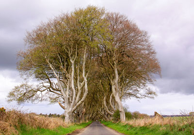 Haunted castle or house in ireland with dark clouds