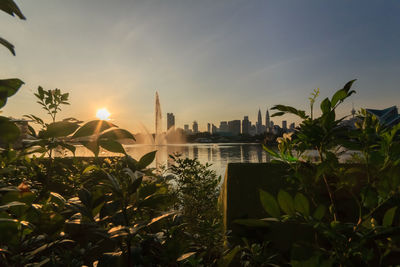 Plants and buildings against sky during sunset