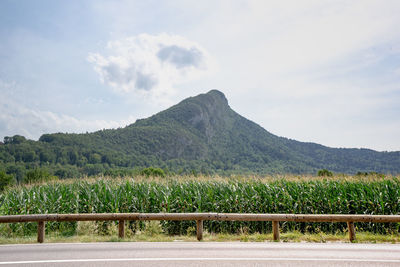 Scenic view of landscape against sky