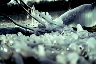 Close-up of frozen water