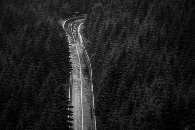 High angle view of road amidst trees in forest