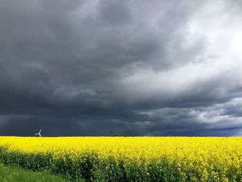 Scenic view of field against cloudy sky