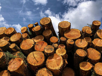 timber