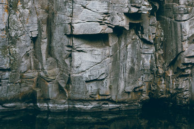 Close-up of rock against trees