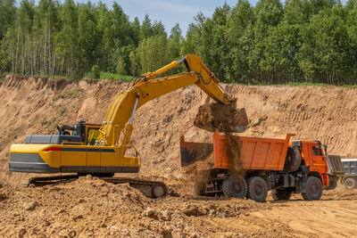 Scenic view of agricultural field