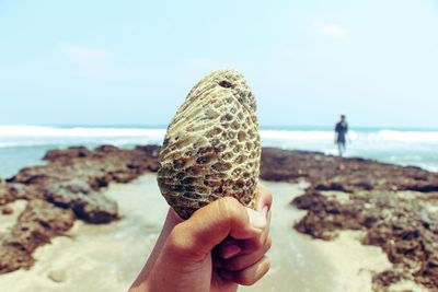 Cropped hand holding seashell at beach against sky