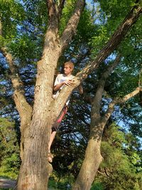 Low angle view of man sitting on tree trunk