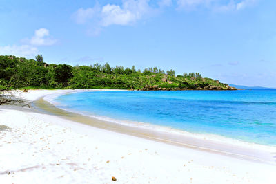 Scenic view of beach against blue sky