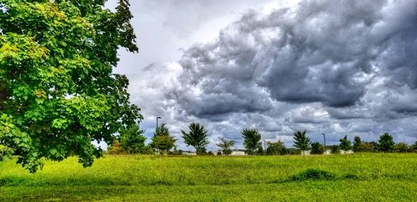 Trees on field against storm clouds