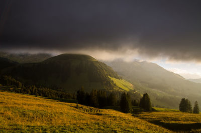 Scenic view of field against sky