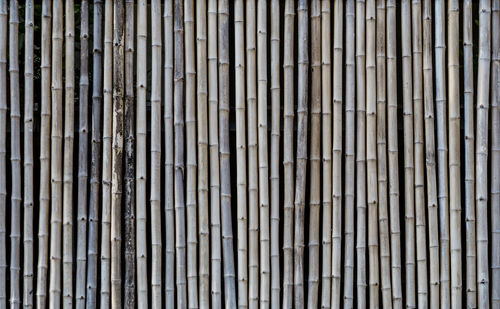 Full frame shot of bamboo on fence