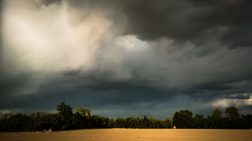 Trees on field against storm clouds