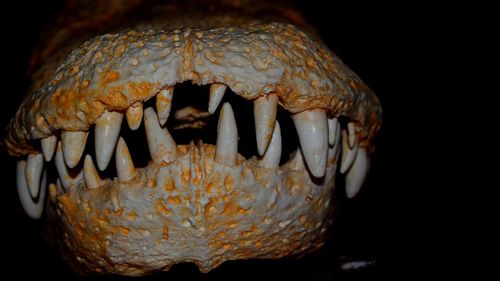 Close-up of glass over white background