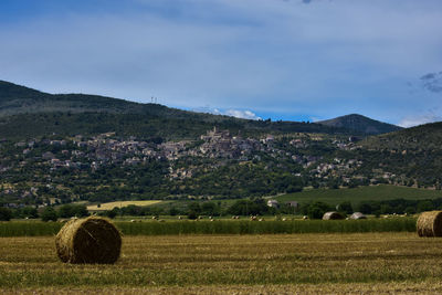 Scenic view of field against sky