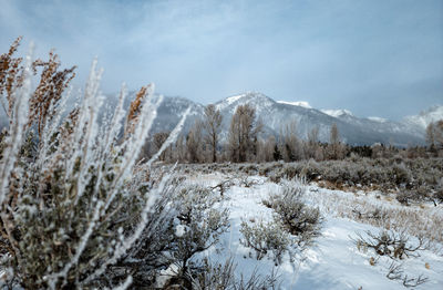 Scenic view of snow covered mountains against sky
