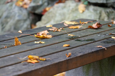 High angle view of leaves on wood during autumn