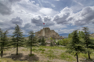 Scenic view of land and trees against sky