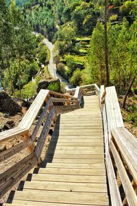 Wooden footbridge amidst trees in forest