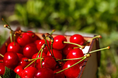 red