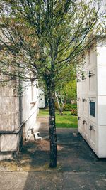 Building with trees in background