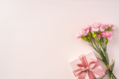 Close-up of pink flowering plant against white background