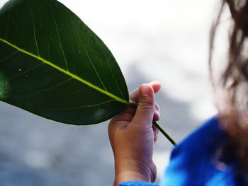 Cropped image of girl holding leaf