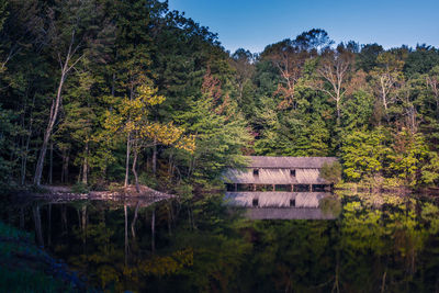 Trees by lake in forest against sky