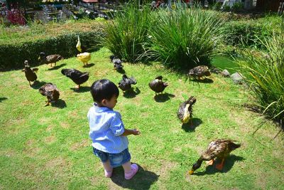 Full length of boy on field