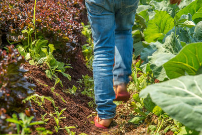 Low section of person standing by plants