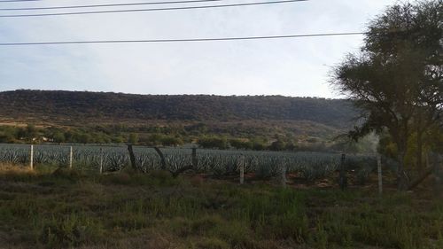 Scenic view of field against cloudy sky