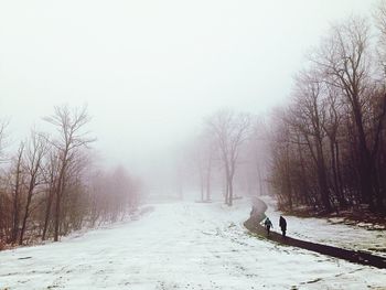 Snow covered field