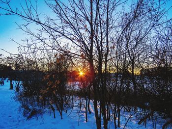 Bare trees on snow covered landscape during sunset