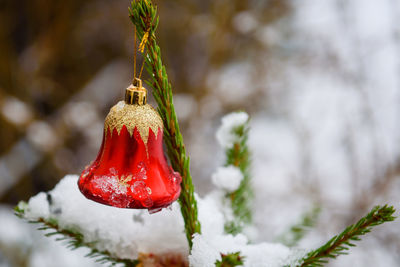 Close-up of christmas tree in snow