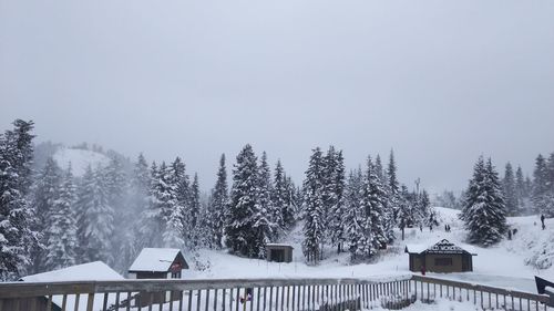 Snow covered trees and houses against clear sky