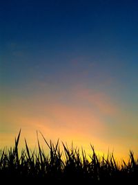 Scenic view of landscape against sky at sunset