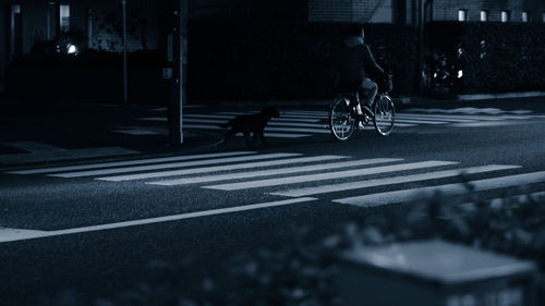 Man riding bicycle on road